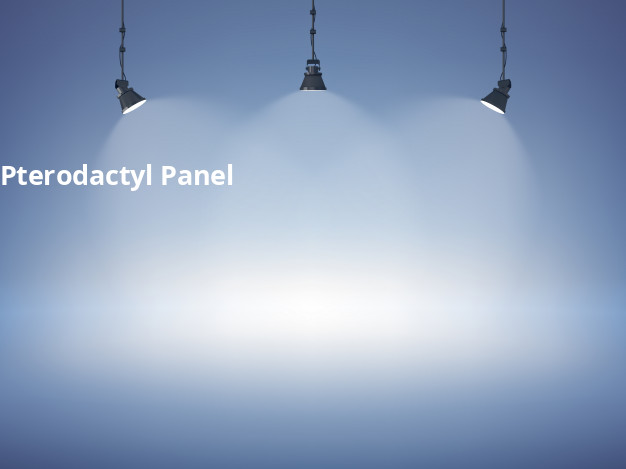 Pterodactyl Game Server Management Panel